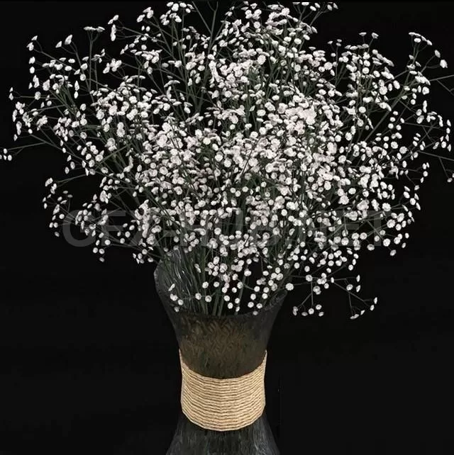 FURNITURE 3D MODELS – Bouquet of gypsophila FURNITURE 3D MODELS – Bouquet of gypsophila