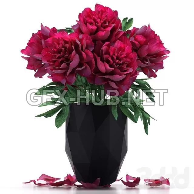 FURNITURE 3D MODELS – Bouquet of peonies in a dark vase FURNITURE 3D MODELS – Bouquet of peonies in a dark vase