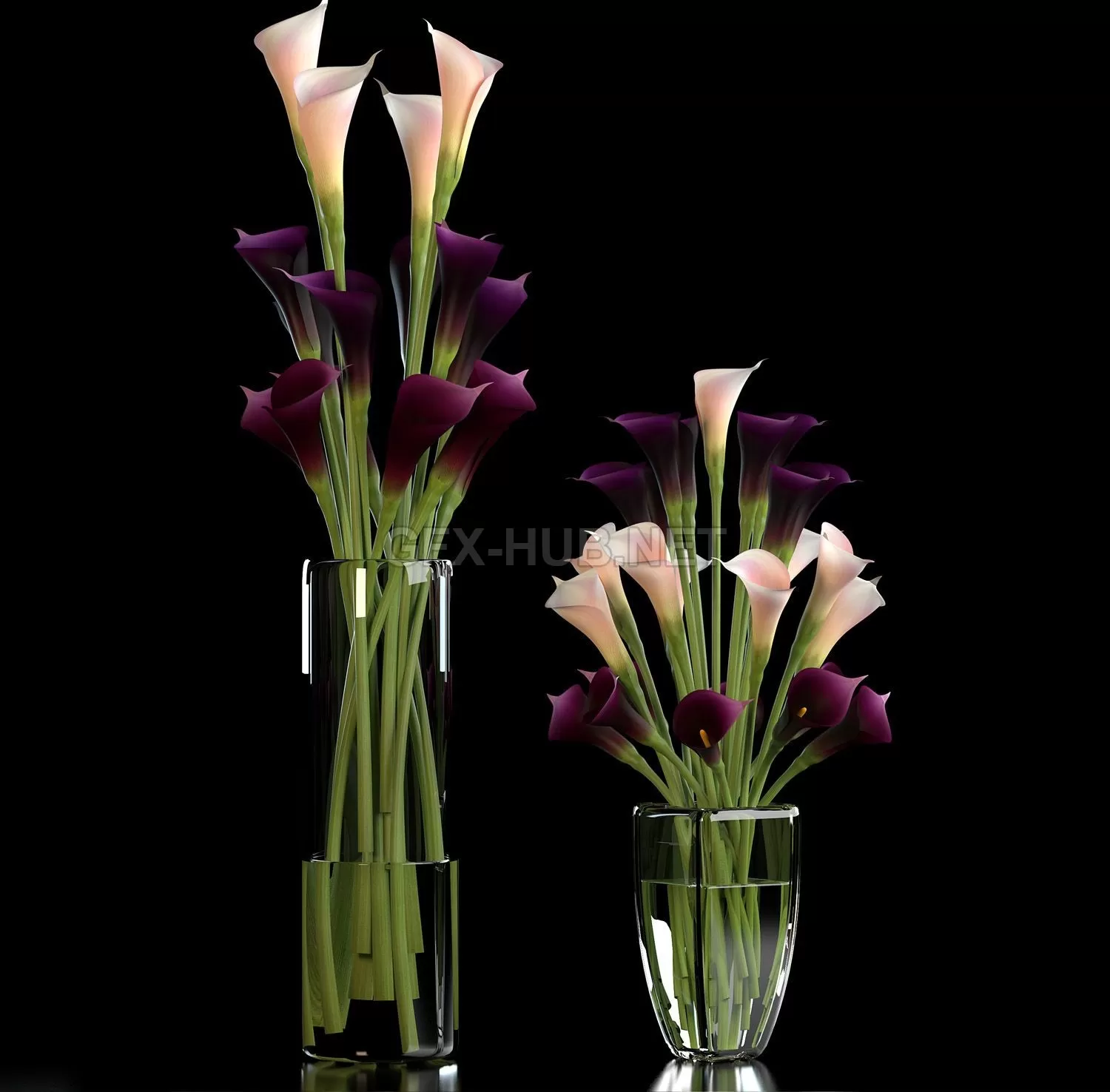 FURNITURE 3D MODELS – CALLA LILLY PURPLE