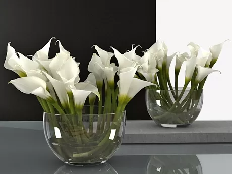 FURNITURE 3D MODELS – Calla Lily