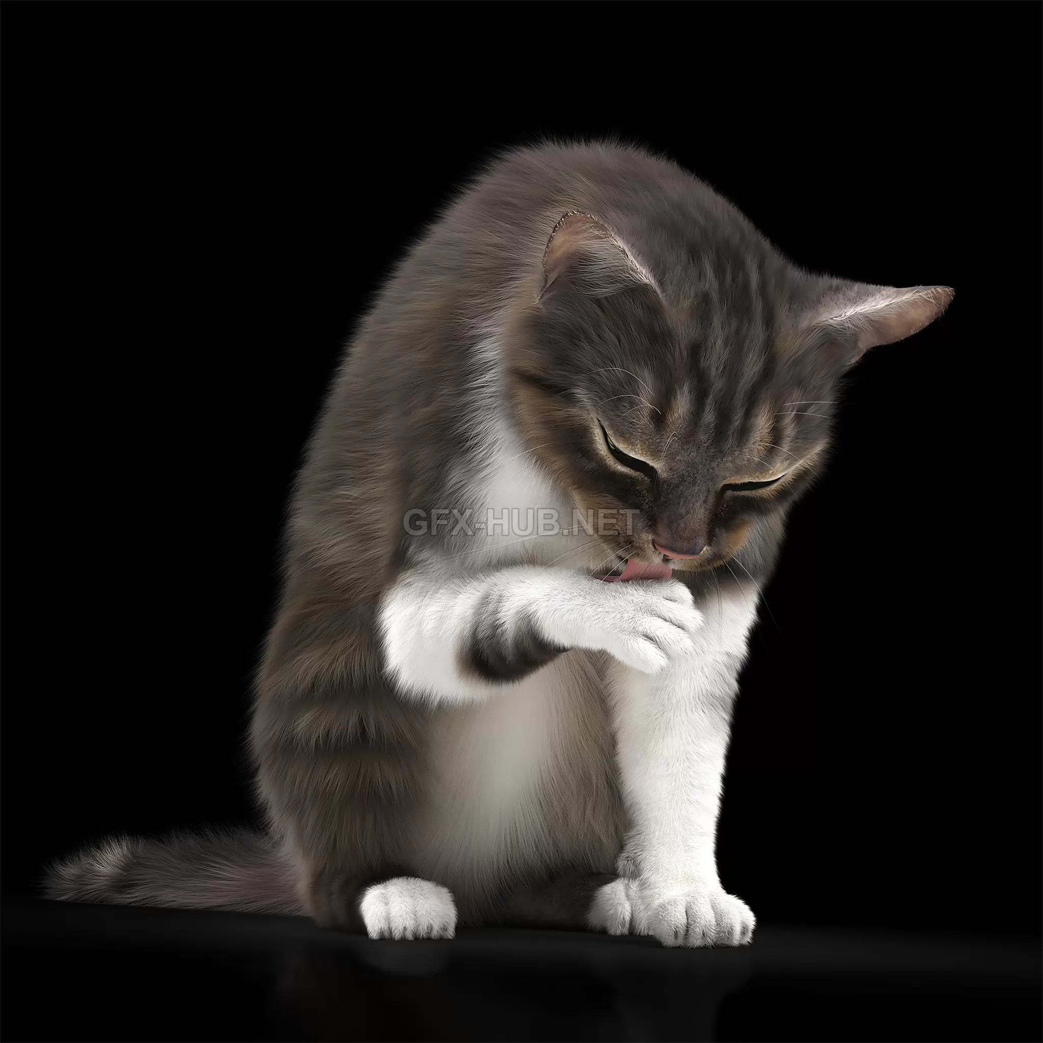 FURNITURE 3D MODELS – CAT 5