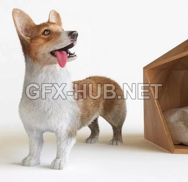 FURNITURE 3D MODELS – Corgi FURNITURE 3D MODELS – Corgi