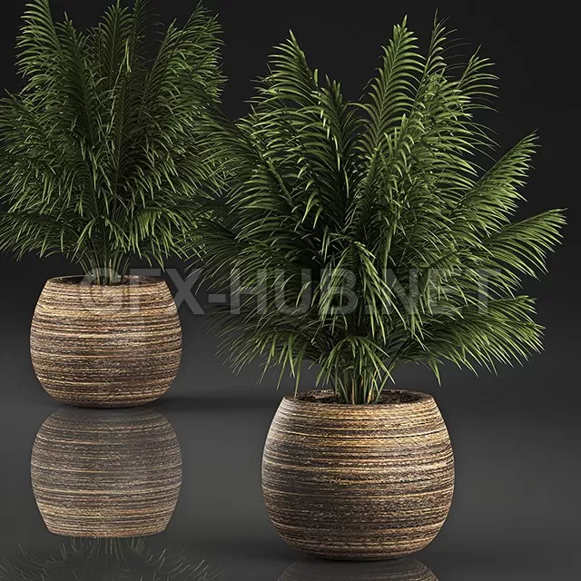 FURNITURE 3D MODELS – Decorative Palm In A Basket FURNITURE 3D MODELS – Decorative Palm In A Basket