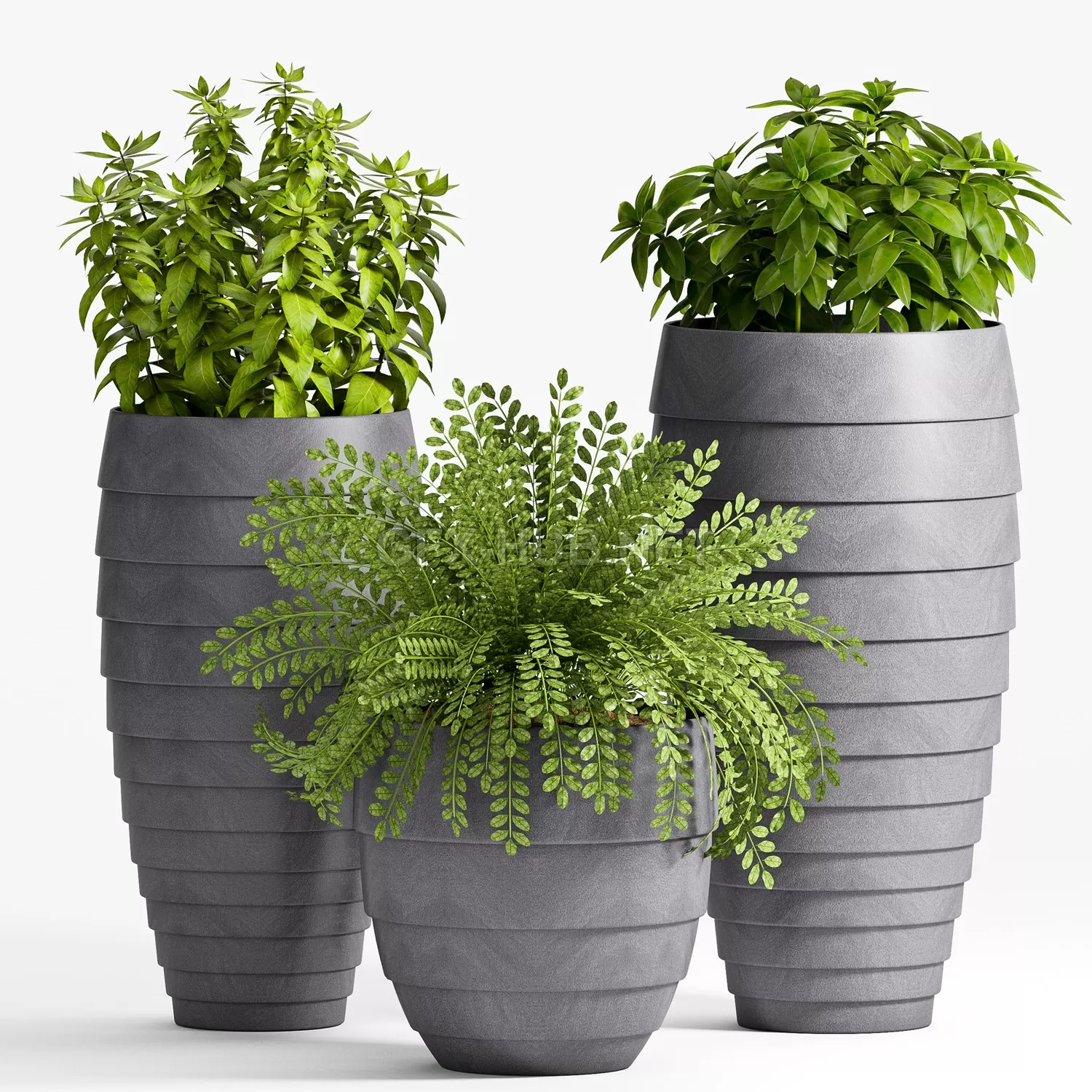 FURNITURE 3D MODELS – Decorative plant set-25 FURNITURE 3D MODELS – Decorative plant set-25