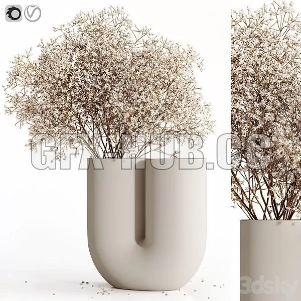 FURNITURE 3D MODELS – Dry Flowers 9