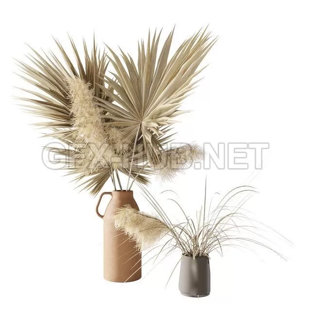 FURNITURE 3D MODELS – Dry palms and pampas