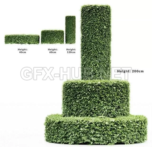 FURNITURE 3D MODELS – Dwarf Yaupon Holly-Cylinder tree collection