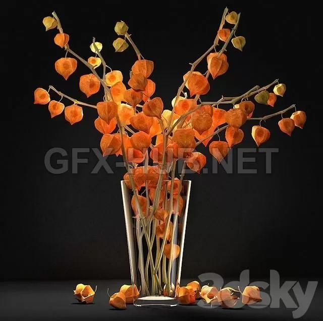 FURNITURE 3D MODELS – Fizalis 2