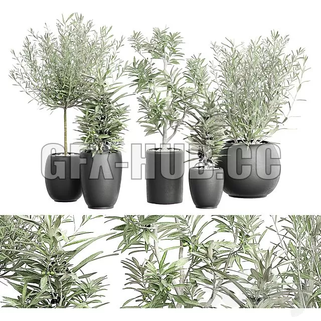 FURNITURE 3D MODELS – FLOWER PACK 121