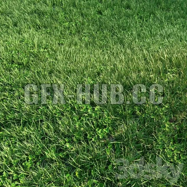 FURNITURE 3D MODELS – Grass 01 FURNITURE 3D MODELS – Grass 01
