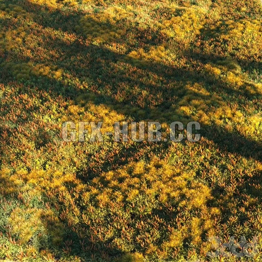 FURNITURE 3D MODELS – Grass Set 2 FURNITURE 3D MODELS – Grass Set 2