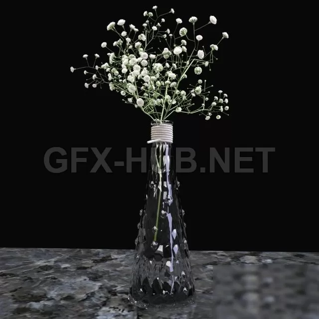 FURNITURE 3D MODELS – Gypsophila branch in a glass vase FURNITURE 3D MODELS – Gypsophila branch in a glass vase