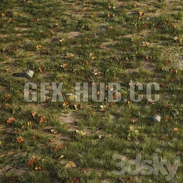 FURNITURE 3D MODELS – House Grass or Lawns