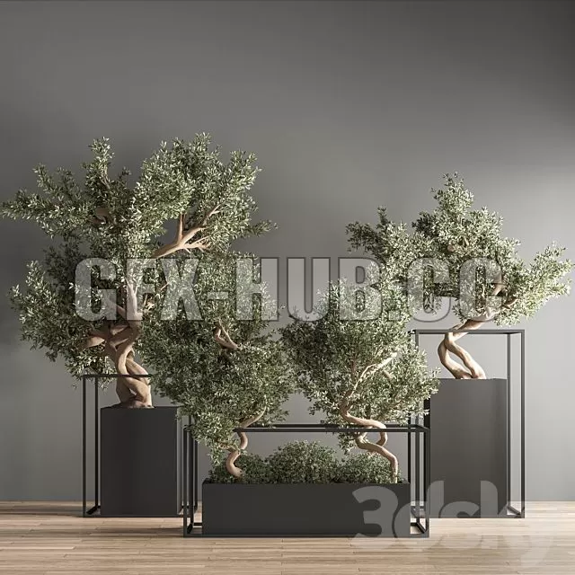 FURNITURE 3D MODELS – Indoor Plant Bonsai Set 24 FURNITURE 3D MODELS – Indoor Plant Bonsai Set 24