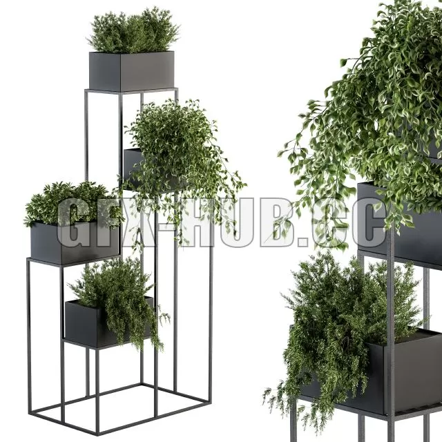 FURNITURE 3D MODELS – Indoor Plant Set 100 Black Stand FURNITURE 3D MODELS – Indoor Plant Set 100 Black Stand