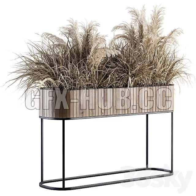 FURNITURE 3D MODELS – Indoor Plant Set 122 Dried Plants in Wood Stand FURNITURE 3D MODELS – Indoor Plant Set 122 Dried Plants in Wood Stand