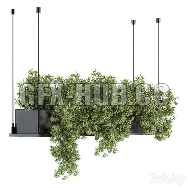 FURNITURE 3D MODELS – Indoor Plant Set 217 Hanging Plant Box FURNITURE 3D MODELS – Indoor Plant Set 217 Hanging Plant Box