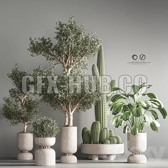 FURNITURE 3D MODELS – Indoor Plant Set 26 FURNITURE 3D MODELS – Indoor Plant Set 26