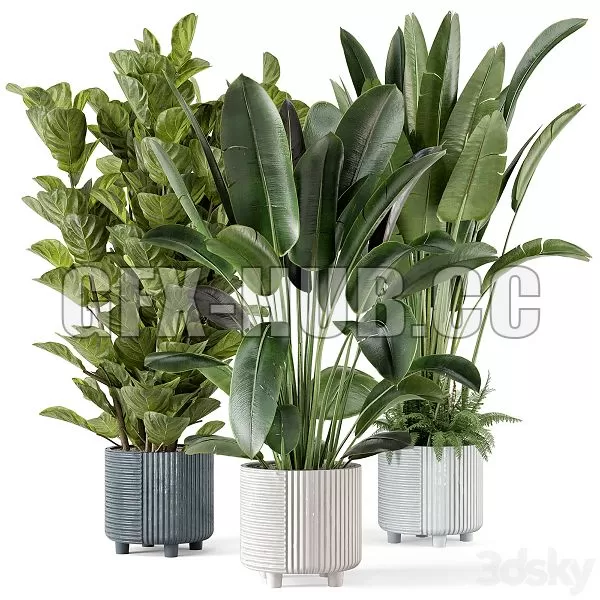 FURNITURE 3D MODELS – Indoor Planters in Cecilia Ficonstone Pot Set 409 FURNITURE 3D MODELS – Indoor Planters in Cecilia Ficonstone Pot Set 409