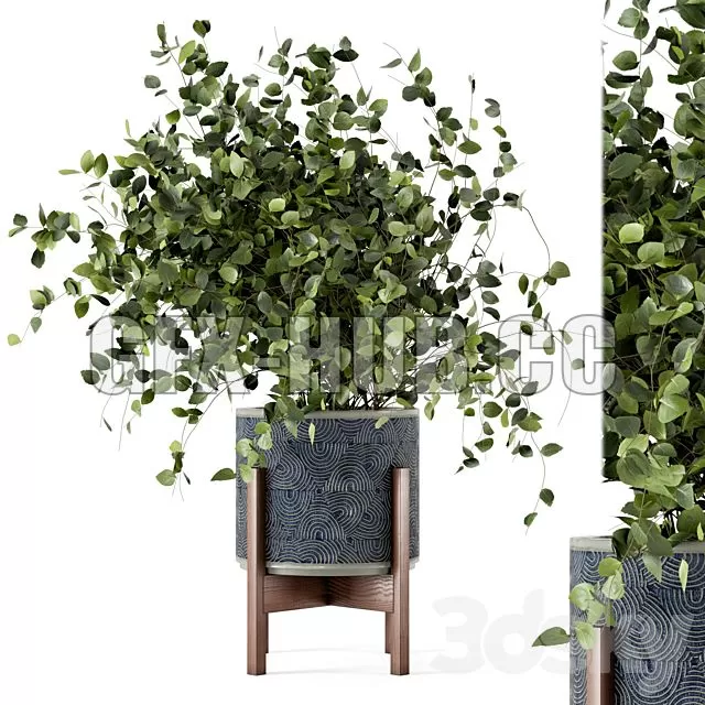 FURNITURE 3D MODELS – Indoor Plants in Rusty Concrete Pot Set 244 FURNITURE 3D MODELS – Indoor Plants in Rusty Concrete Pot Set 244