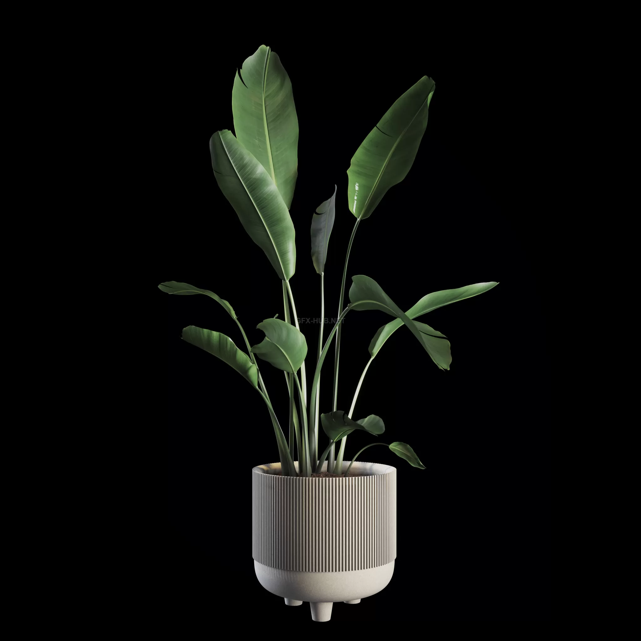 FURNITURE 3D MODELS – Indoor Plants Set 04 FURNITURE 3D MODELS – Indoor Plants Set 04