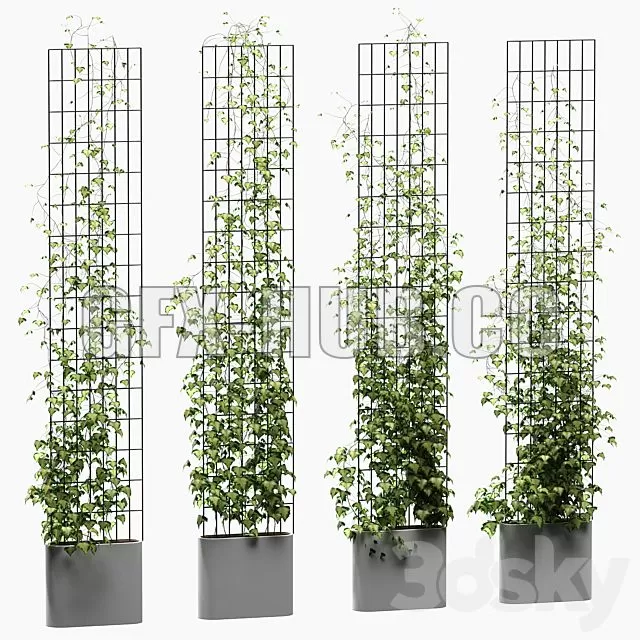 FURNITURE 3D MODELS – Ivy on the Trellis 4 Models FURNITURE 3D MODELS – Ivy on the Trellis 4 Models