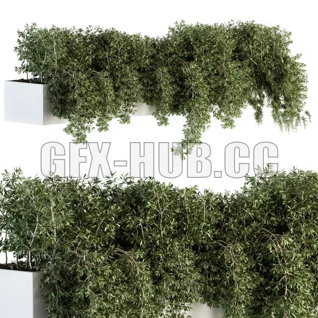 FURNITURE 3D MODELS – Ivy Plants in Box Outdoor Set 80 FURNITURE 3D MODELS – Ivy Plants in Box Outdoor Set 80