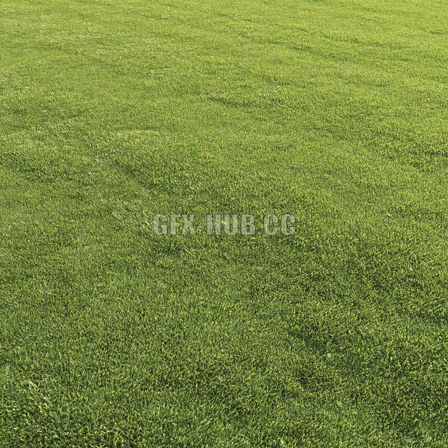 FURNITURE 3D MODELS – Lawn Grass 1 FURNITURE 3D MODELS – Lawn Grass 1
