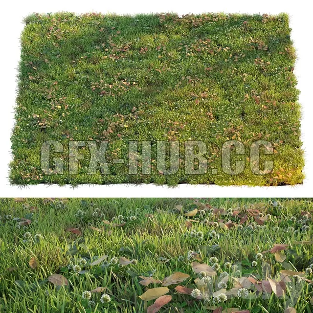 FURNITURE 3D MODELS – Lawn with clover and dry leaves FURNITURE 3D MODELS – Lawn with clover and dry leaves