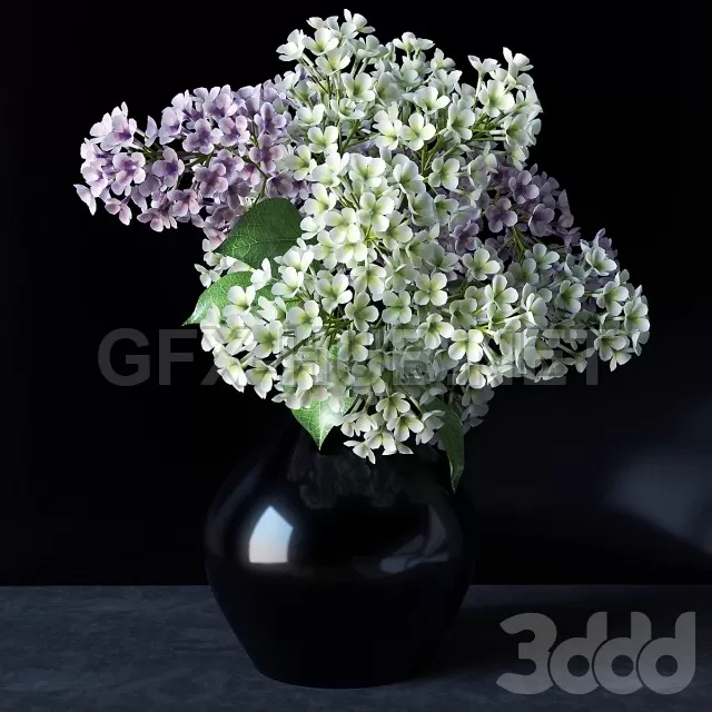 FURNITURE 3D MODELS – Lilacs in a vase FURNITURE 3D MODELS – Lilacs in a vase