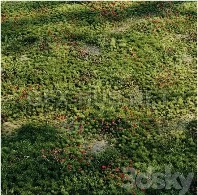 FURNITURE 3D MODELS – Meadow Grass 2 FURNITURE 3D MODELS – Meadow Grass 2