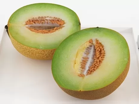 FURNITURE 3D MODELS – Melon FURNITURE 3D MODELS – Melon