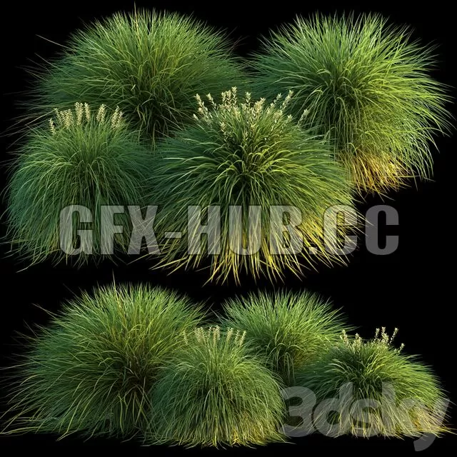 FURNITURE 3D MODELS – Miscanthus