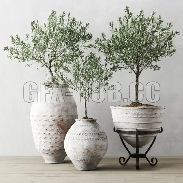 FURNITURE 3D MODELS – Olea europaea in antique Mediterranean Vessels