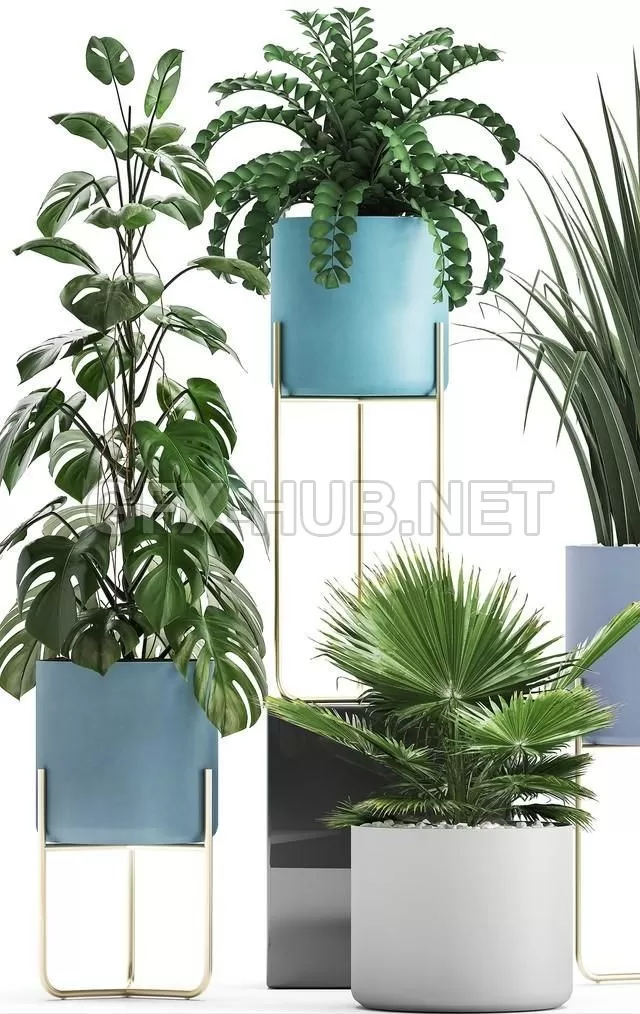 FURNITURE 3D MODELS – Plant collection 281 FURNITURE 3D MODELS – Plant collection 281