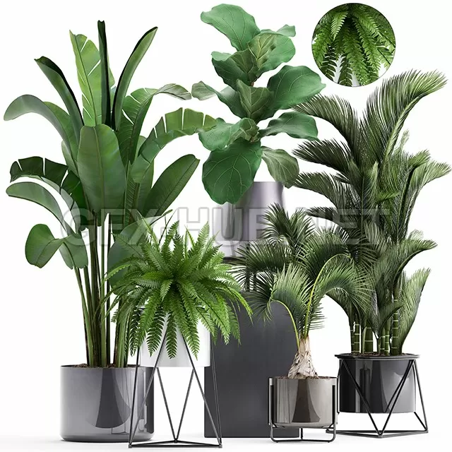 FURNITURE 3D MODELS – Plant collection 290 FURNITURE 3D MODELS – Plant collection 290