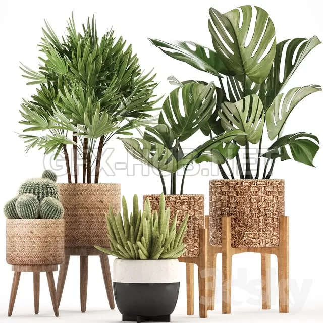 FURNITURE 3D MODELS – Plant collection 321 FURNITURE 3D MODELS – Plant collection 321
