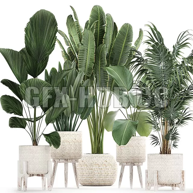 FURNITURE 3D MODELS – Plant Collection 713 Scandinavian style FURNITURE 3D MODELS – Plant Collection 713 Scandinavian style