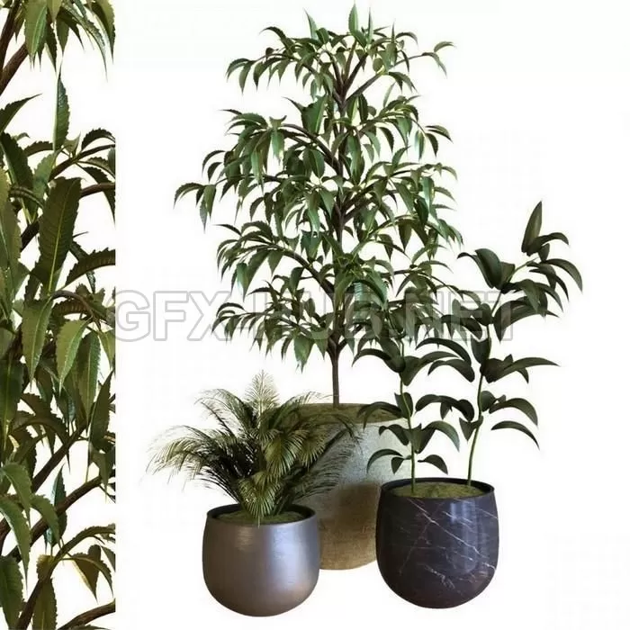 FURNITURE 3D MODELS – Plant In Box Set 040 FURNITURE 3D MODELS – Plant In Box Set 040