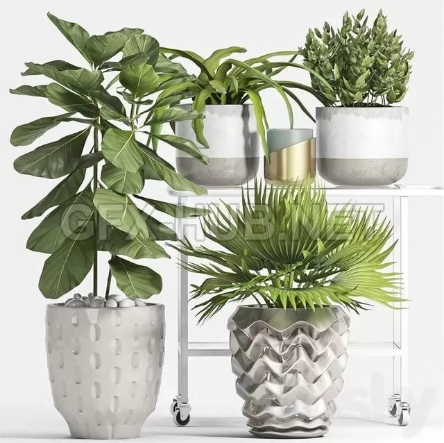 FURNITURE 3D MODELS – Plant Set 59 FURNITURE 3D MODELS – Plant Set 59