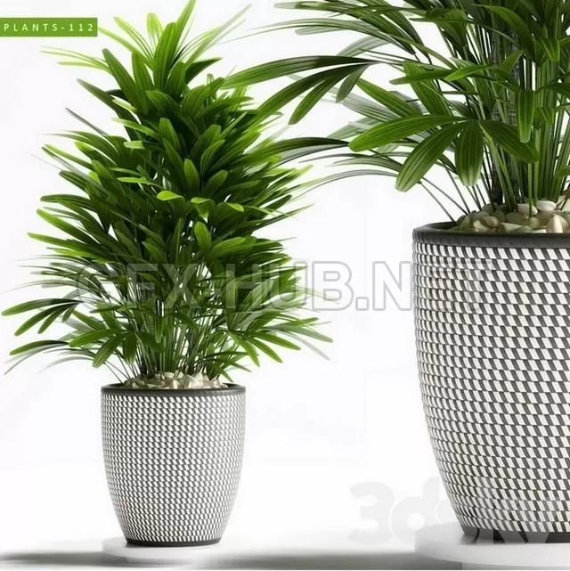 FURNITURE 3D MODELS – PLANTS 112 FURNITURE 3D MODELS – PLANTS 112