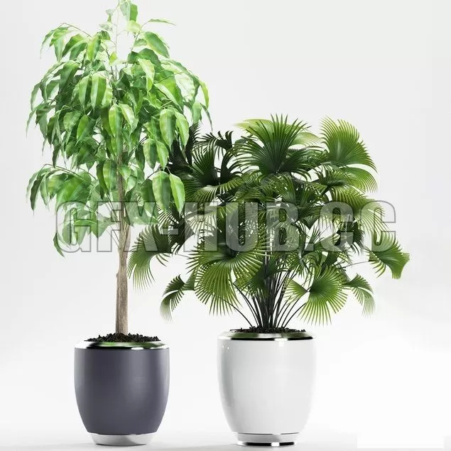 FURNITURE 3D MODELS – Plants 139 FURNITURE 3D MODELS – Plants 139