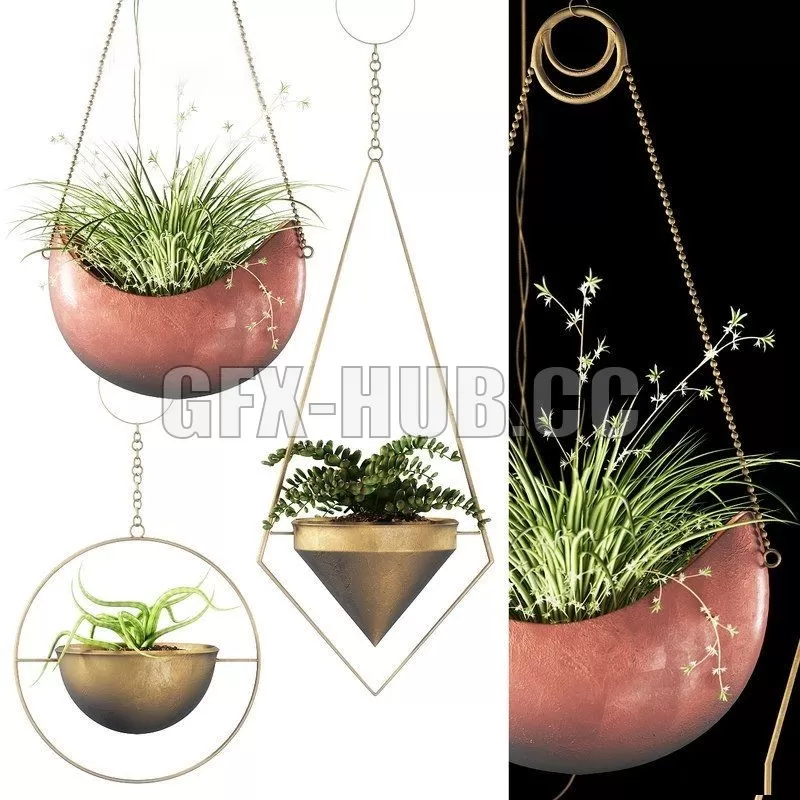FURNITURE 3D MODELS – Plants 143 FURNITURE 3D MODELS – Plants 143