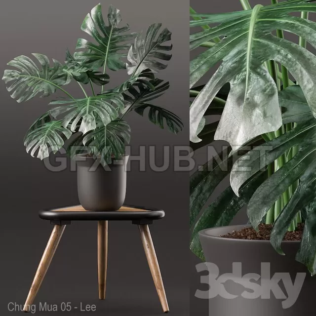 FURNITURE 3D MODELS – Plants 160 FURNITURE 3D MODELS – Plants 160