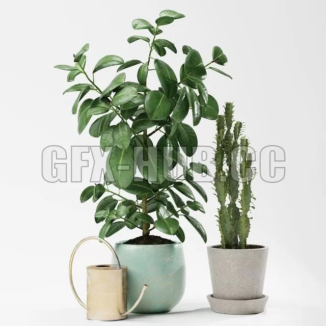 FURNITURE 3D MODELS – Plants 186 FURNITURE 3D MODELS – Plants 186