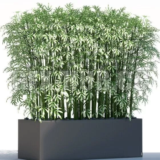 FURNITURE 3D MODELS – Plants 189 FURNITURE 3D MODELS – Plants 189