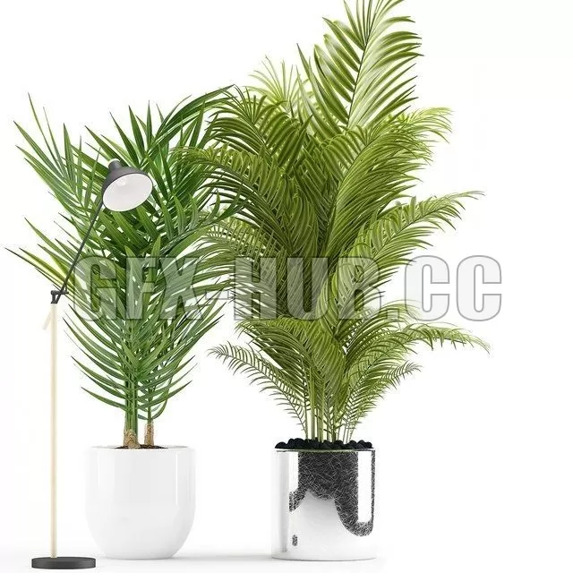 FURNITURE 3D MODELS – Plants 191 FURNITURE 3D MODELS – Plants 191