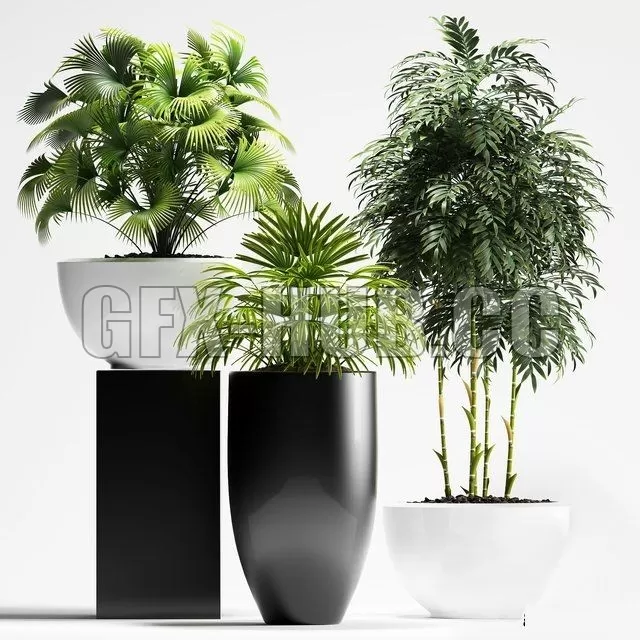 FURNITURE 3D MODELS – Plants 195 FURNITURE 3D MODELS – Plants 195