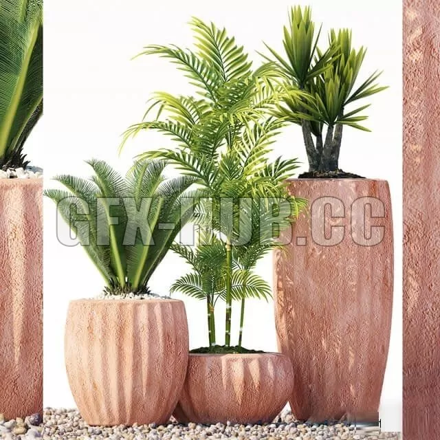 FURNITURE 3D MODELS – Plants 201 FURNITURE 3D MODELS – Plants 201