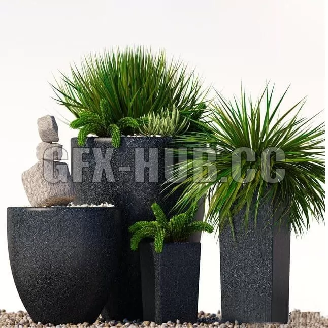 FURNITURE 3D MODELS – Plants 202 FURNITURE 3D MODELS – Plants 202